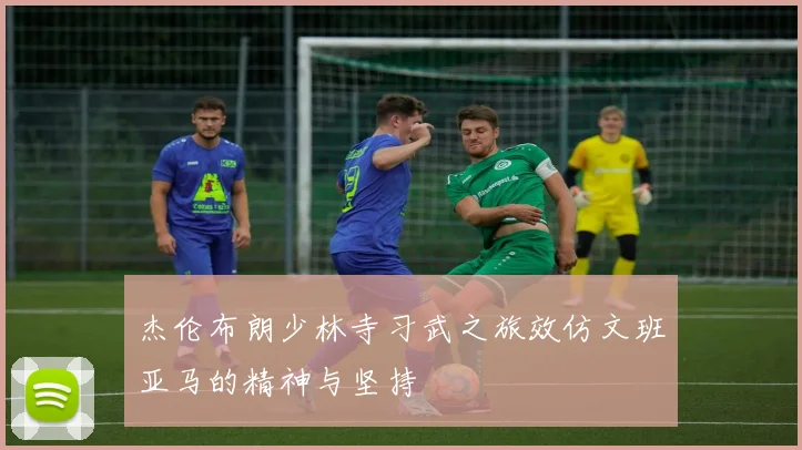 杰伦布朗少林寺习武之旅效仿文班亚马的精神与坚持