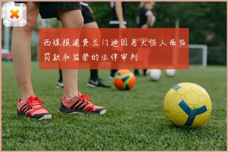 西媒报道费兰门迪因恶犬伤人面临罚款和监禁的法律审判